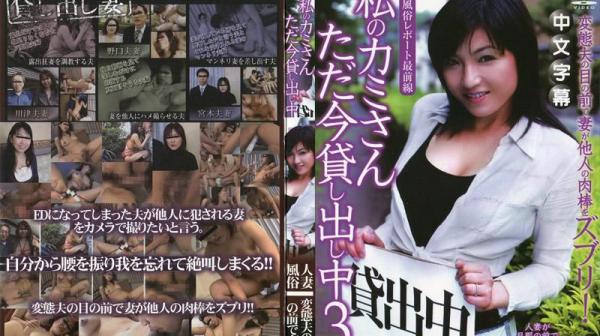 我老婆现在出租中 3 JLX-200